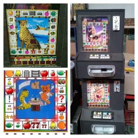 zama zama gambling machine|ICYMI: You can make roughly R20m a month – zama zamas .